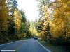 Cd_Custer_State_Park.JPG