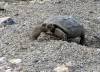 RedRock-04-10-Sister-on-mission.jpg