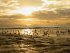 Seacliff_Beach_-2.jpg