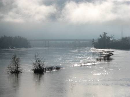 Sacramento River on a January Morning