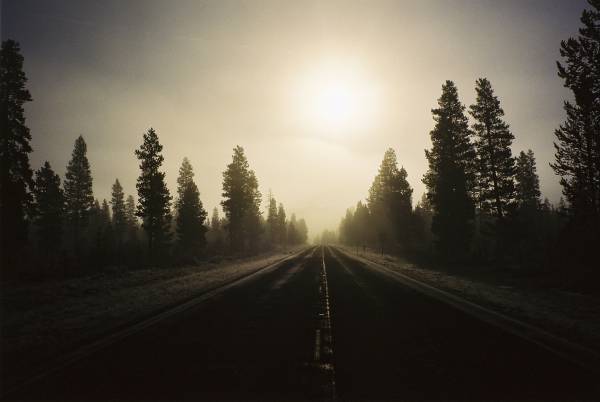 Foggy Morning, Oregon