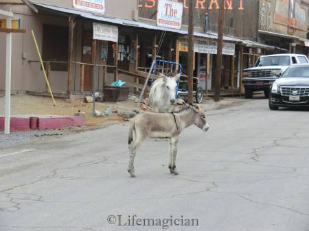 Historic Route 66
