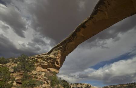 Natutal Bridges NP