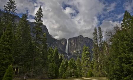 Yosemite Valley Floor