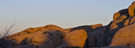 Joshua Tree NP