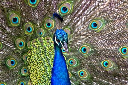 San Diego Zoo