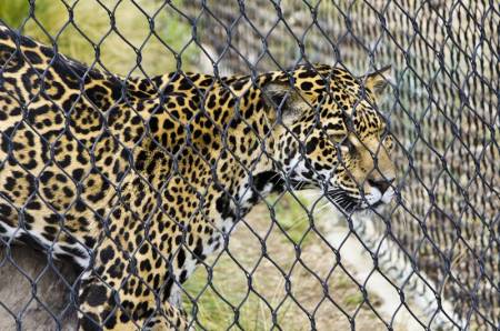 San Diego Zoo