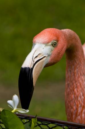 San Diego Zoo