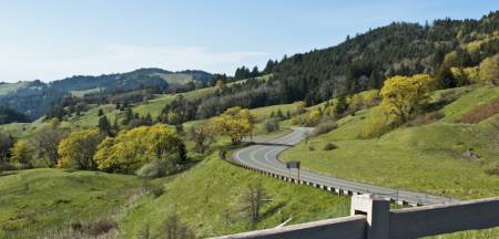 Winding Roads