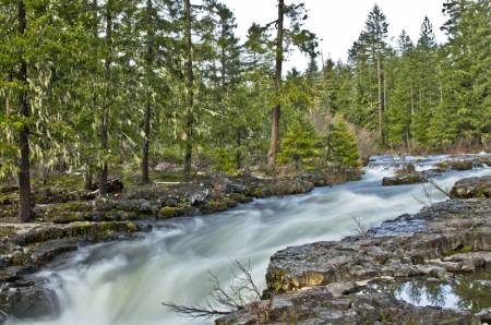 Oregon Stream