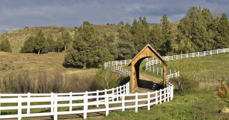 Oregon Bridge