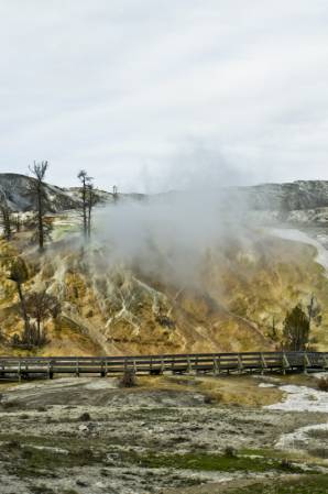 Mammoth Hot Springs