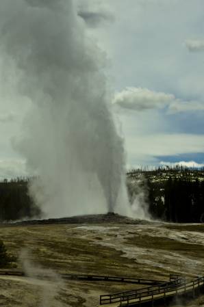 Old Faithful
