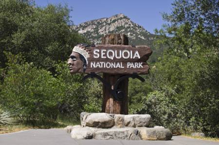 Welcome to Sequoia National Park