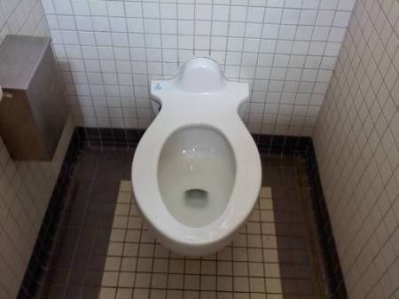 Seeley Rest Area Toilet (CA)