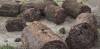 ROAD_TRIP_AMERICA_149_of_202_.jpg