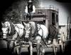 ROAD_TRIP_AMERICA_166_of_202_.jpg