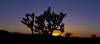 ROAD_TRIP_AMERICA_175_of_202_.jpg