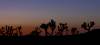 ROAD_TRIP_AMERICA_177_of_202_.jpg