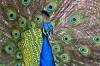 ROAD_TRIP_AMERICA_182_of_202_.jpg