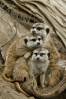 ROAD_TRIP_AMERICA_184_of_202_.jpg