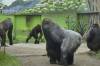 ROAD_TRIP_AMERICA_186_of_202_.jpg