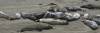 ROAD_TRIP_AMERICA_194_of_202_.jpg