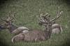 ROAD_TRIP_AMERICA_19_of_202_.jpg