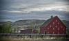 ROAD_TRIP_AMERICA_46_of_202_.jpg