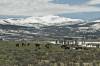 ROAD_TRIP_AMERICA_47_of_202_.jpg