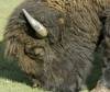 ROAD_TRIP_AMERICA_48_of_202_.jpg