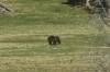 ROAD_TRIP_AMERICA_53_of_202_.jpg
