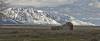 ROAD_TRIP_AMERICA_67_of_202_.jpg