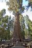 ROAD_TRIP_AMERICA_6_of_202_.jpg