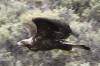 ROAD_TRIP_AMERICA_75_of_202_.jpg
