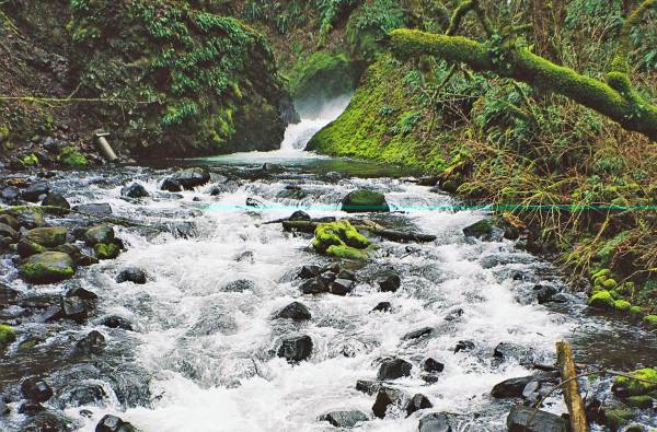 Stream