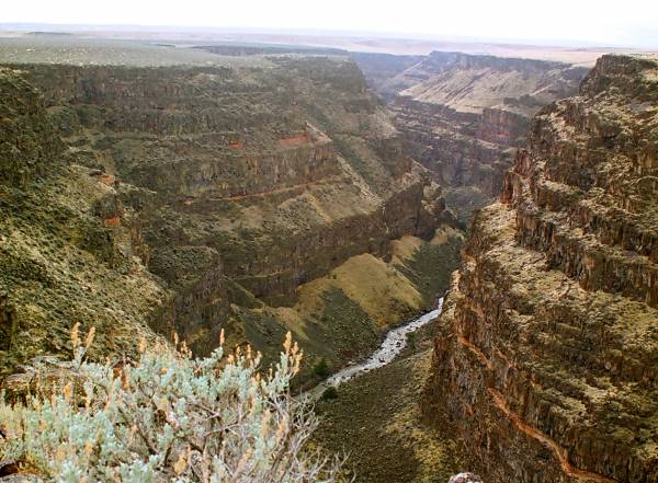 Bruneau Canyon