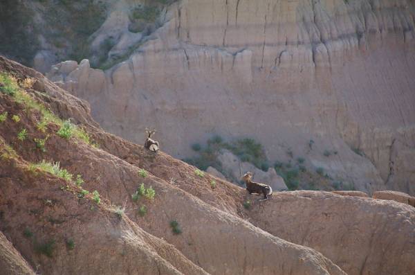 Badlands 2