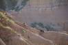 03_Badlands2.JPG