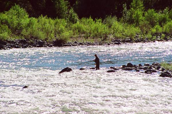 Fishing