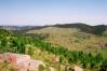 04_Black_Hills.JPG