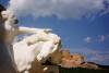 05_Crazy_Horse.JPG