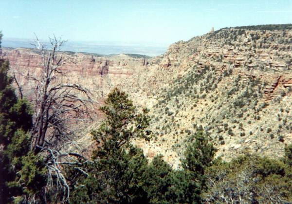 Grand Canyon