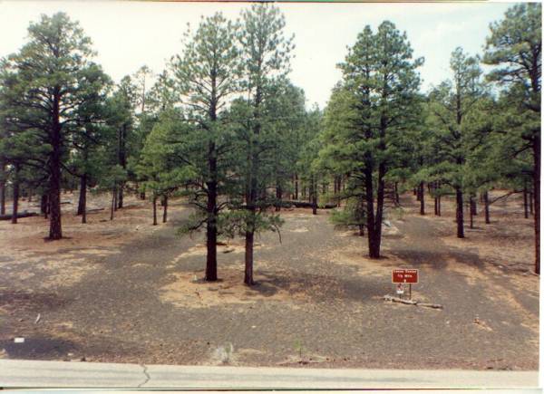 Sunset Crater