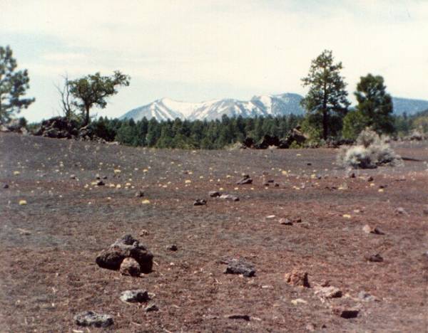 Sunset Crater