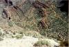 Bright_Angel_Trail_has_many_switchbacks.jpg