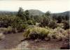 Cinder_cones_are_numerous_in_this_desert.jpg