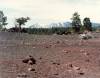 San_Francisco_Peaks_from_Sunset_Crater.jpg
