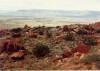 View_toward_Vermillion_Cliffs_from_Rte_89_in_Arizona.jpg