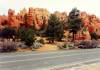 Red_Canyon_Utah.jpg